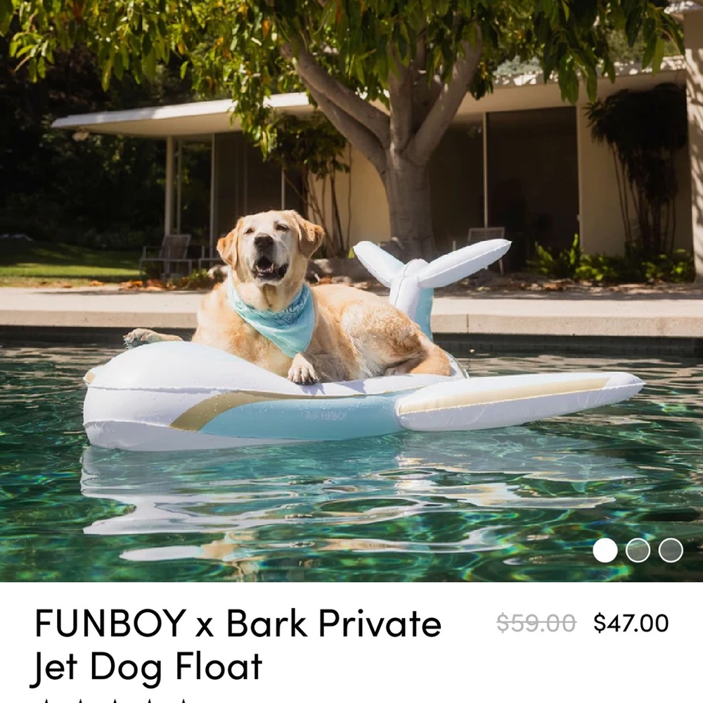 Funboy x Barkbox Dog Float